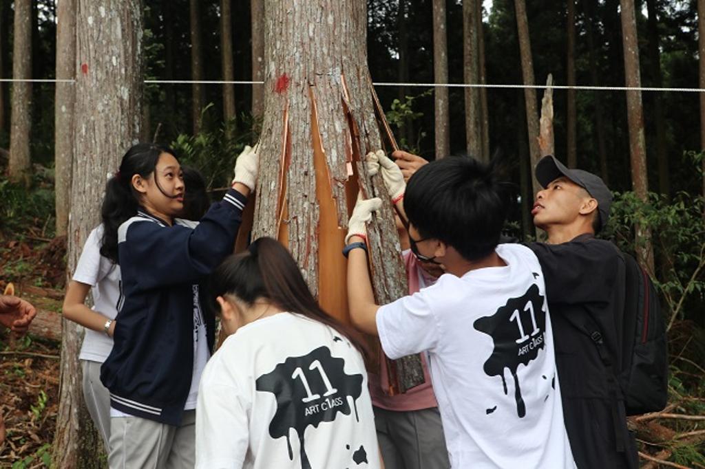 圖為學生們體驗當個林場經營者，合力一起剝樹皮(攝影者-建築公社勞動合作社)。圖:新竹林管處提供