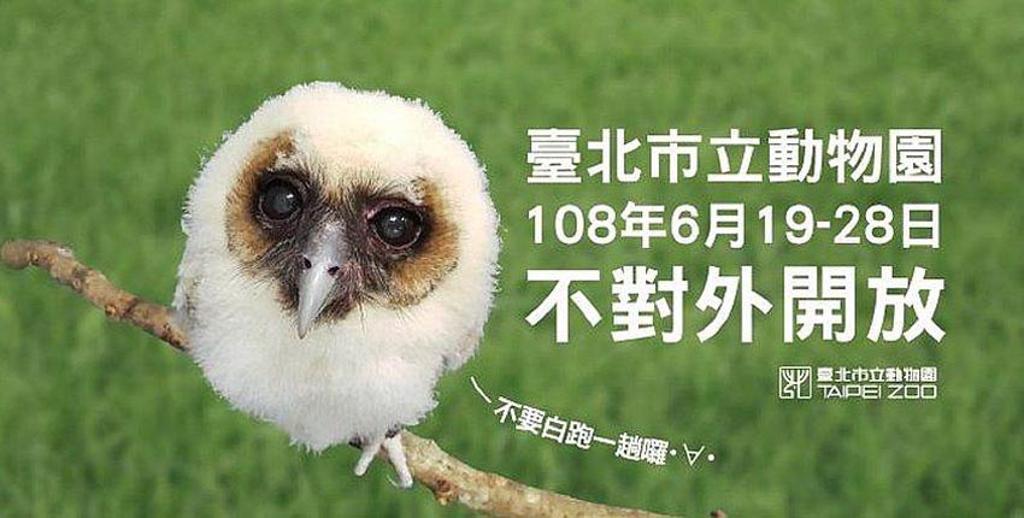 台北市立動物園將自108年6月19日（三）起至108年6月28日（五）止，共有10天「不對外開放」！圖：台北市立動物園提供
