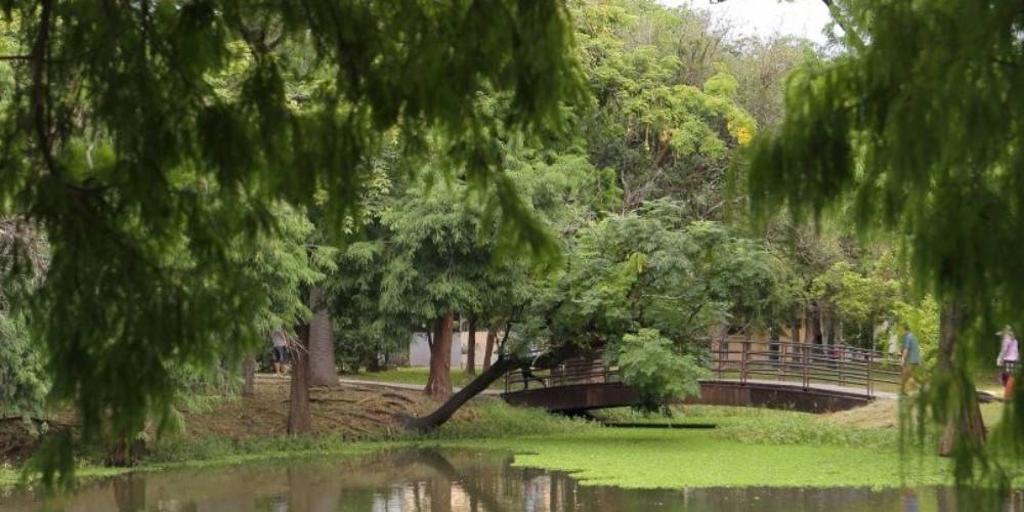 綠意盎然的巴克禮紀念公園是台南都會難得的一塊綠地。圖／行遍天下提供