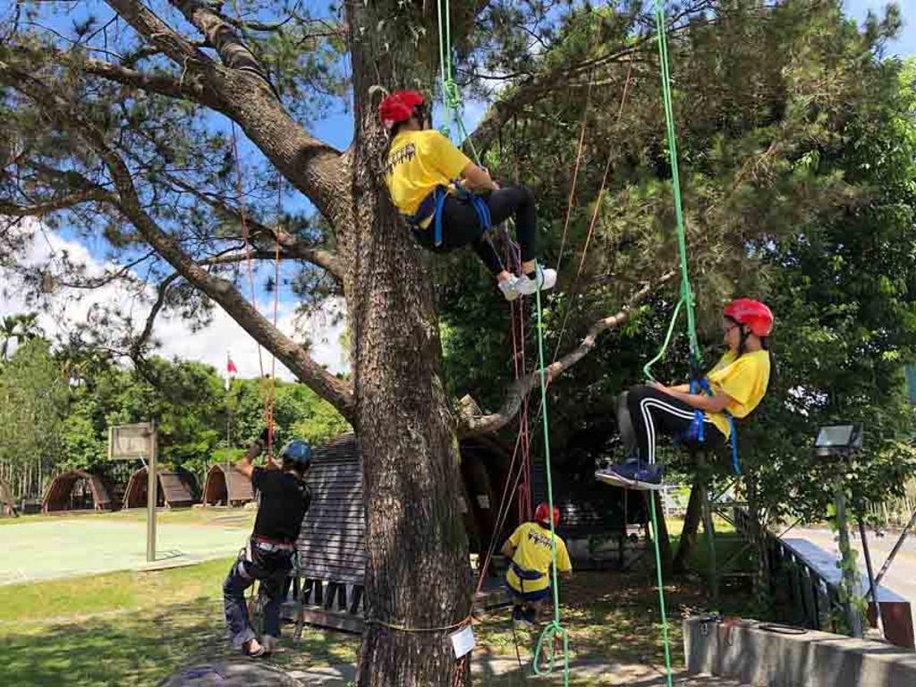 歐都納戶外山野勇氣館規劃攀樹活動，適合親子一起體驗。圖／業者提供