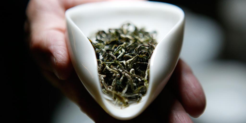 品茶如同品味料理，但茶湯風味與料理、酒類、咖啡相較起來更為細膩，需更靜心感受。圖／境好出版提供