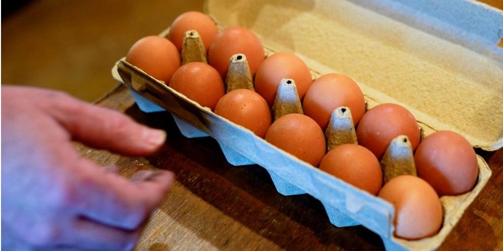 受禽流感爆發衝擊，美國蛋價年漲6成 ，雖1月來價格有拉回，惟仍是去年同期逾3倍之高。圖／美聯社