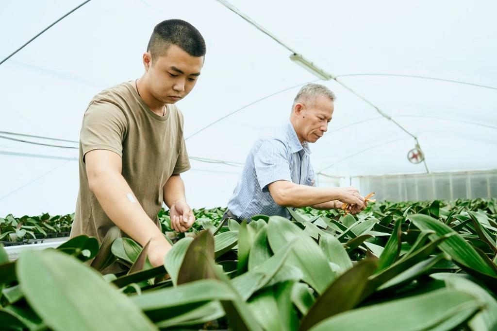 虎科大提出新農業合作經濟模式，提升農民獲利，留住青年農業科技人才。圖／虎科大提供
