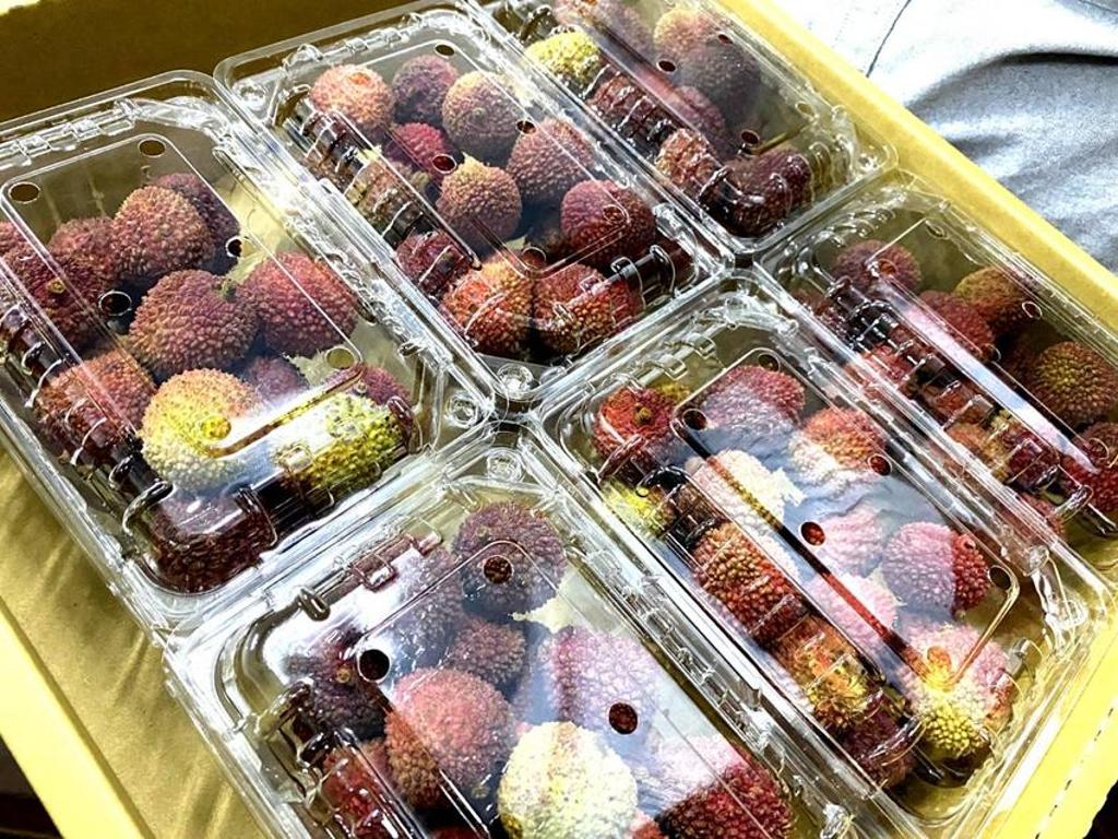 台灣荔枝以新增複合式檢疫處理 叩關紐西蘭 - 綜合 - 工商時報