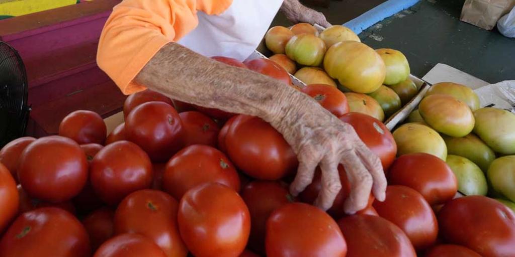印度部分地區的番茄躉售價格一個月內飆漲288%，今天來到1公斤140盧比（1.7美元），零售價格則是更高，迫使印度許多民眾縮手，做菜減少用番茄。圖/美聯社
