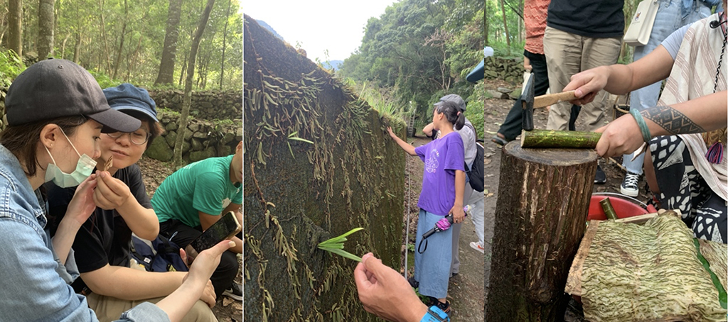 活動過程中,帶領大家前往松鶴苗圃步道,享受森林帶來的五感體驗。圖/業者提供