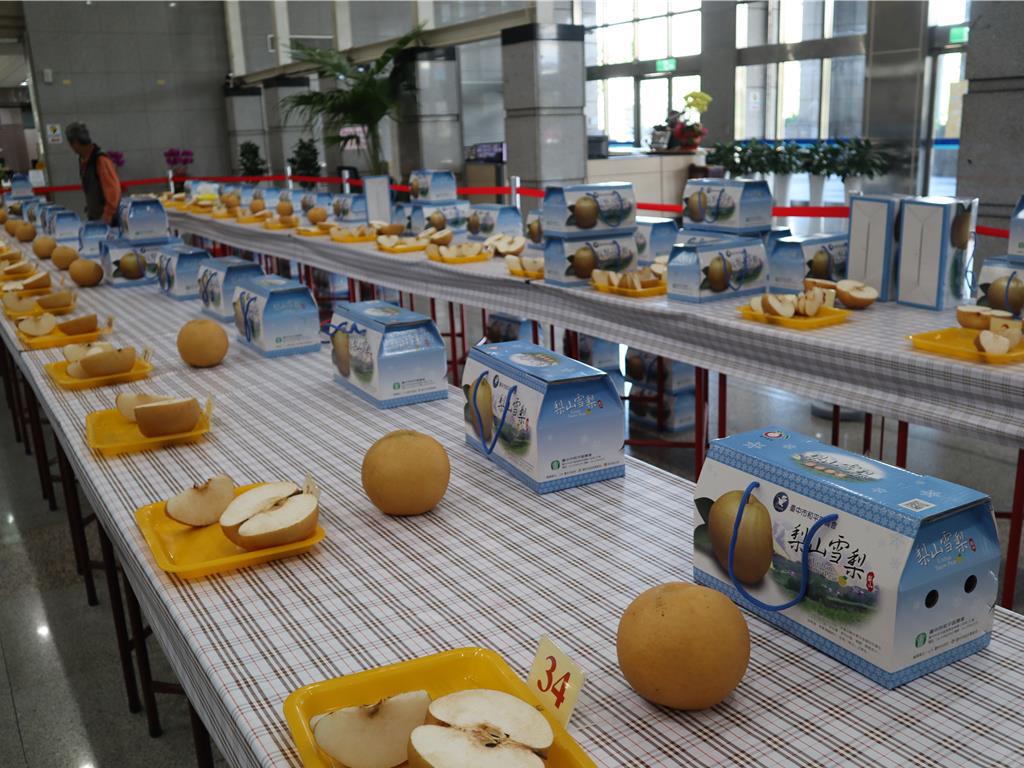 「台中市優質雪梨果品評鑑」5日在陽明市政大樓舉行，6名梨農開心獲獎。（陳淑娥攝）