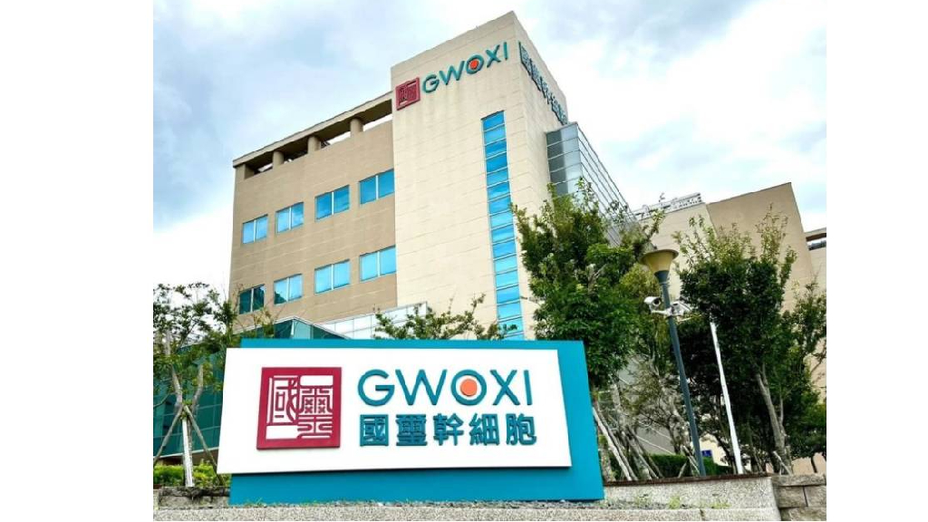 國璽宣布:治療慢性腦中風新藥專利版圖建置完成 商情 工商時報