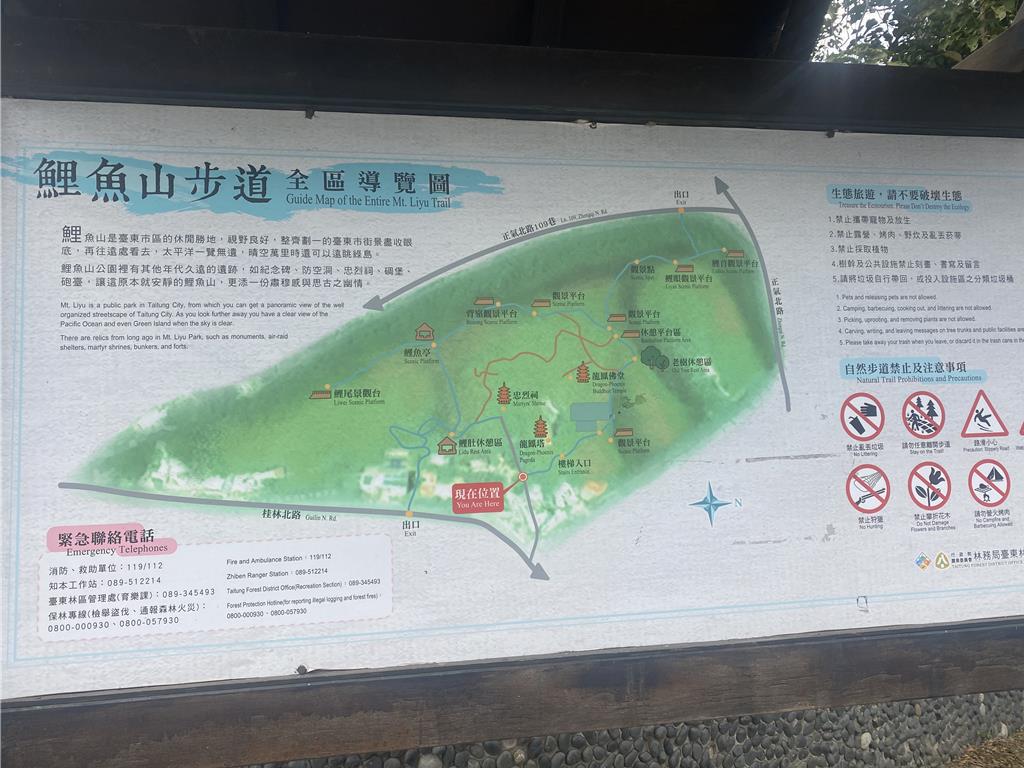 鯉魚山是台東市民登山健行的熱門步道。（蔡旻妤攝）