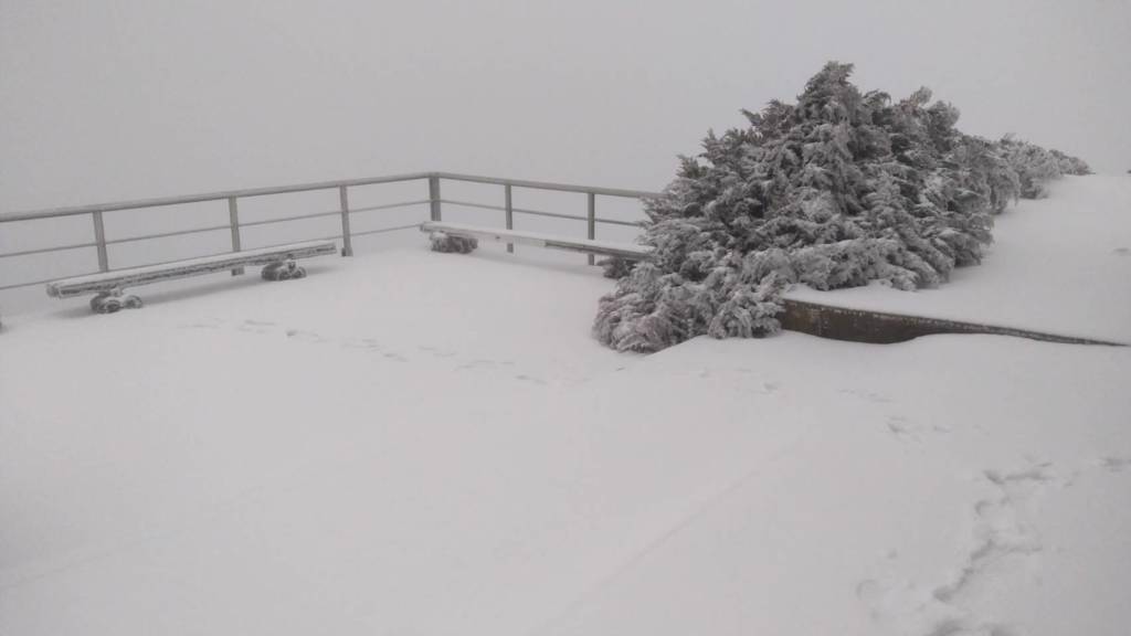 玉山持續下雪中，變成銀白世界。圖／氣象署提供