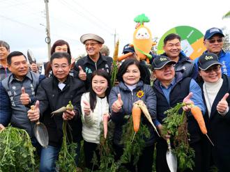 「國際台灣胡蘿蔔日」雲林登場 逾2萬人一起拔蘿蔔創紀錄