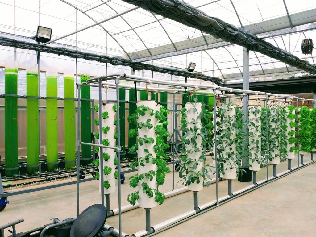 東海大學打造全亞洲最大微藻碳中和與循環經濟基地 - 產業 - 工商時報