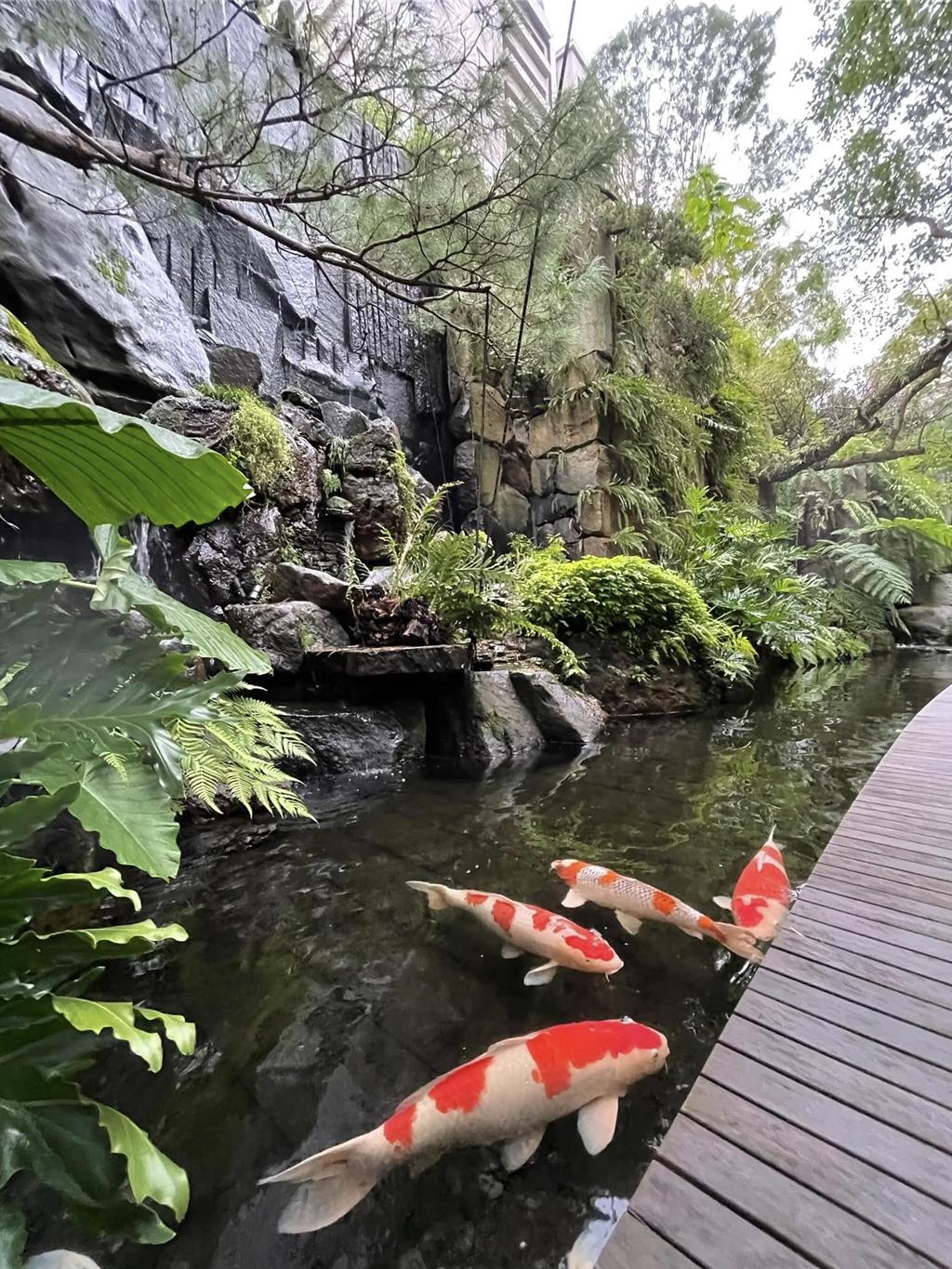 陶朱隱園耗時三年多打造的近2,000坪的自然生態庭園,設有十米大瀑布。圖/蔡惠芳