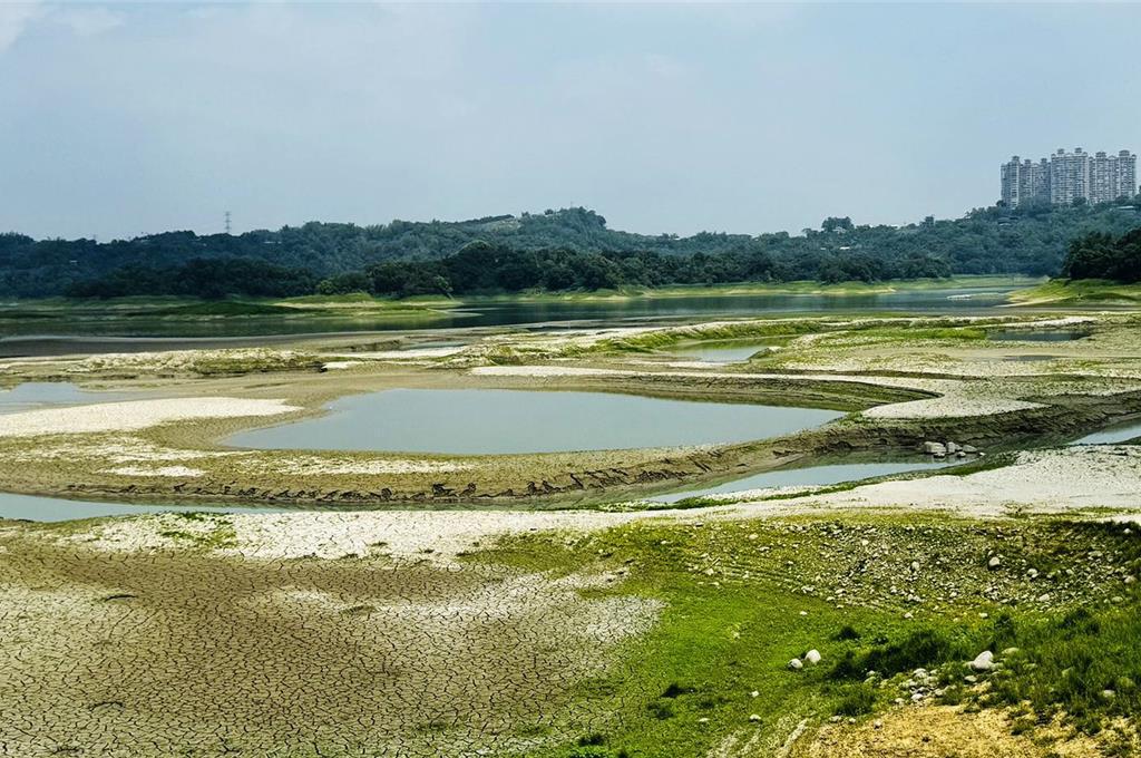 仁義潭露出乾地、浮島仍無法清淤原因曝光- 生活- 工商時報