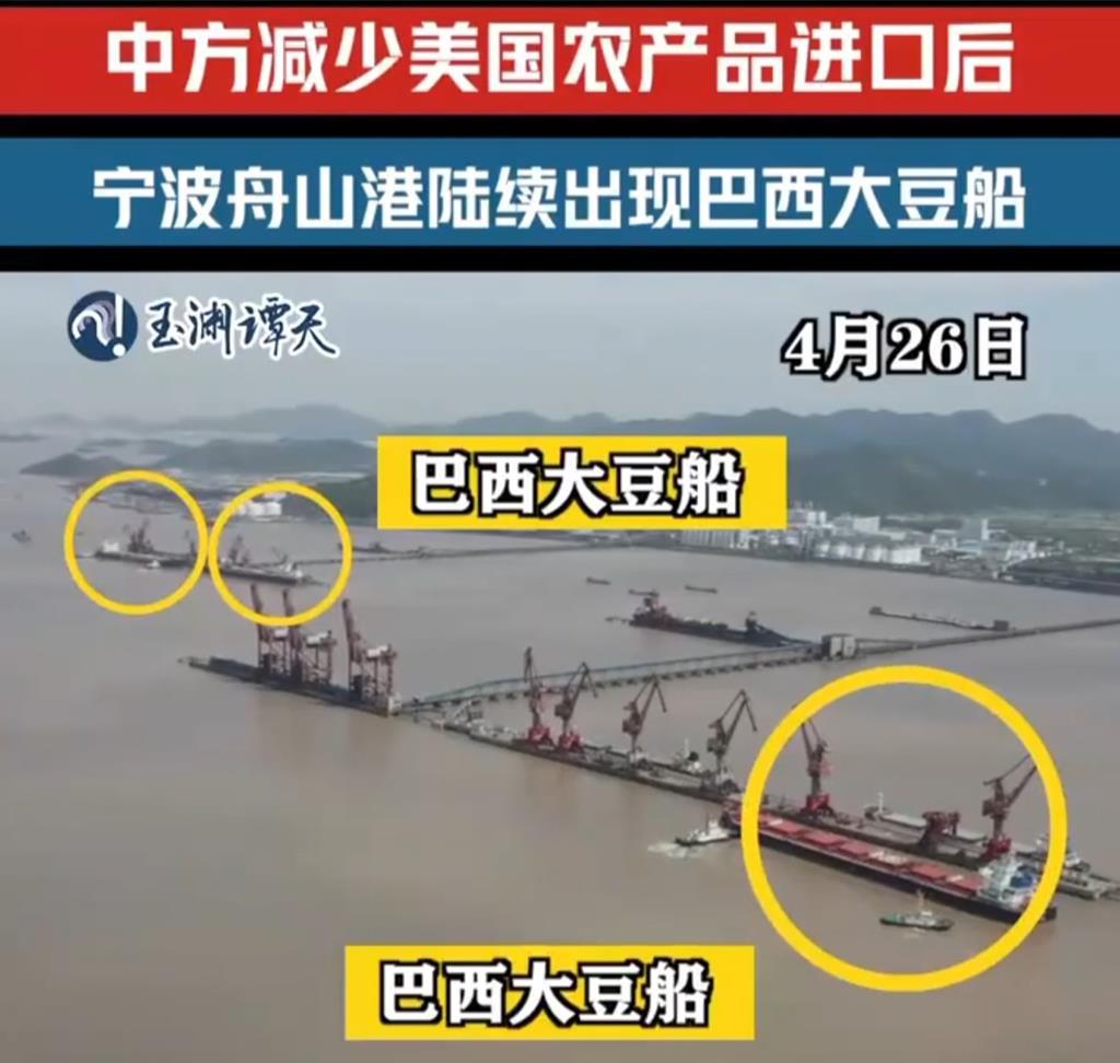 陸減少美農產品進口陸媒：舟山港陸續出現巴西大豆船- 兩岸- 工商時報