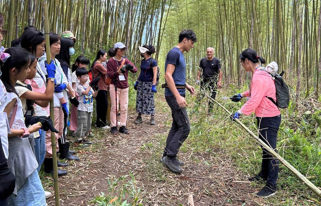 東眼山森林親子遊攻略   暑假必玩兩大特色體驗六月登場