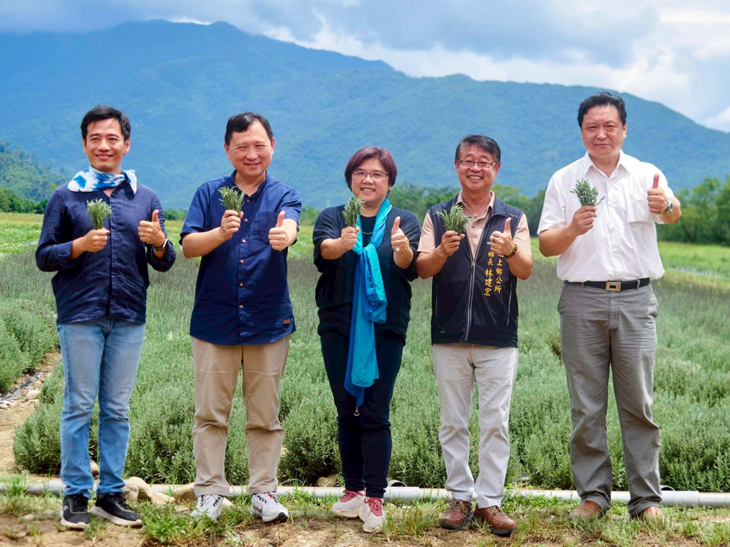  孕育池上首批薰衣草收成　台灣第一個香草文化體驗場域