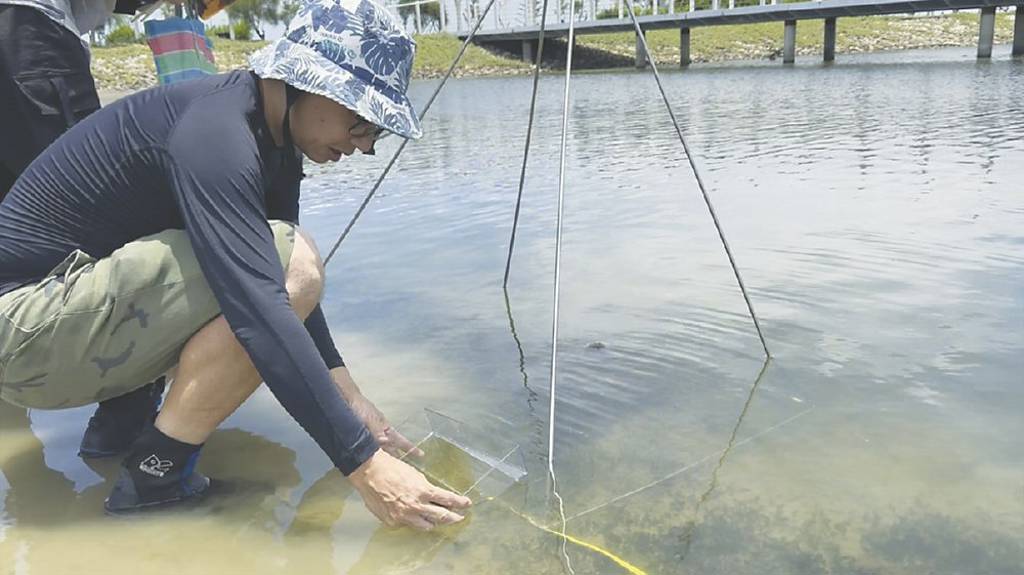 南山人壽 守護海草生態系