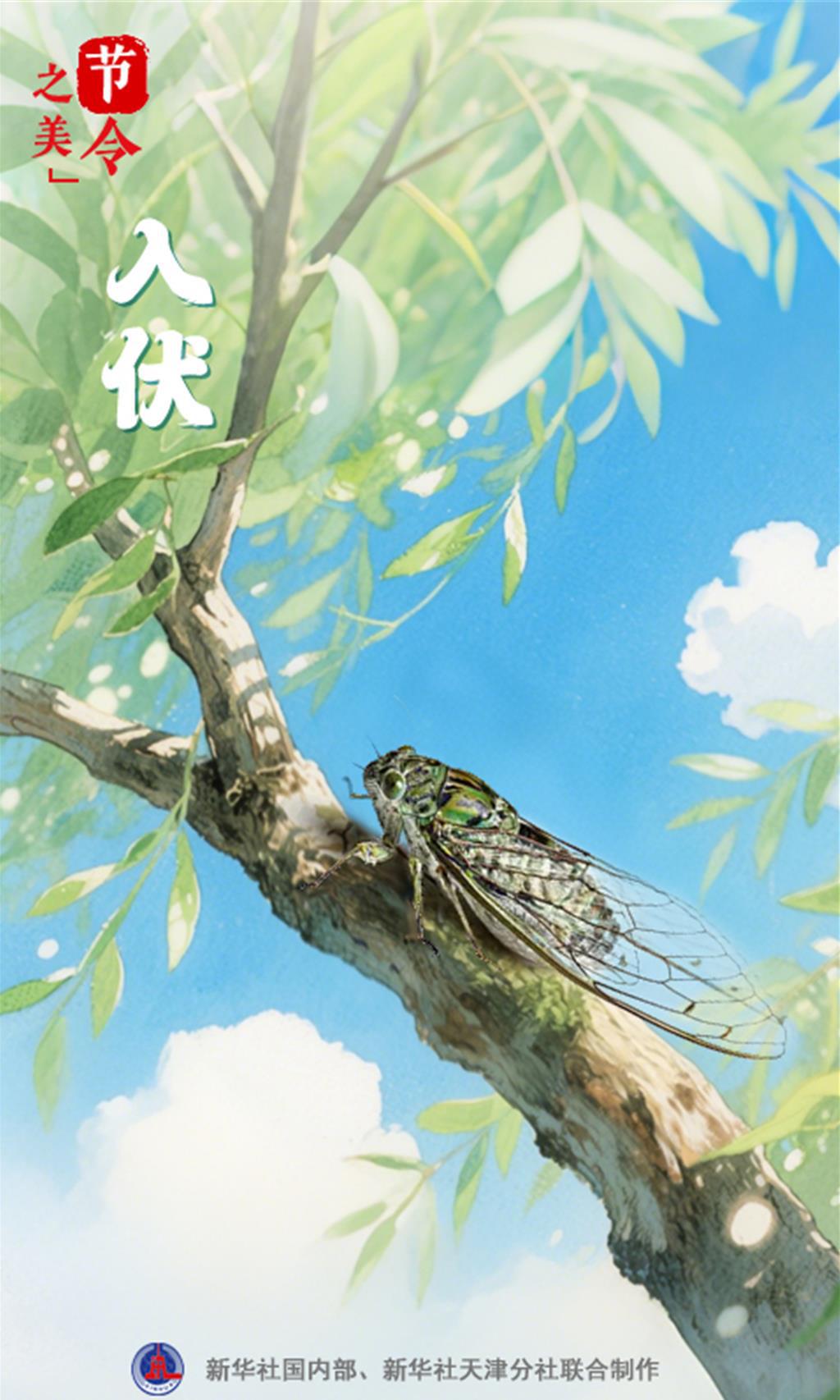 7／20入伏！今年「三伏」30天  終結連10年皆40天紀錄