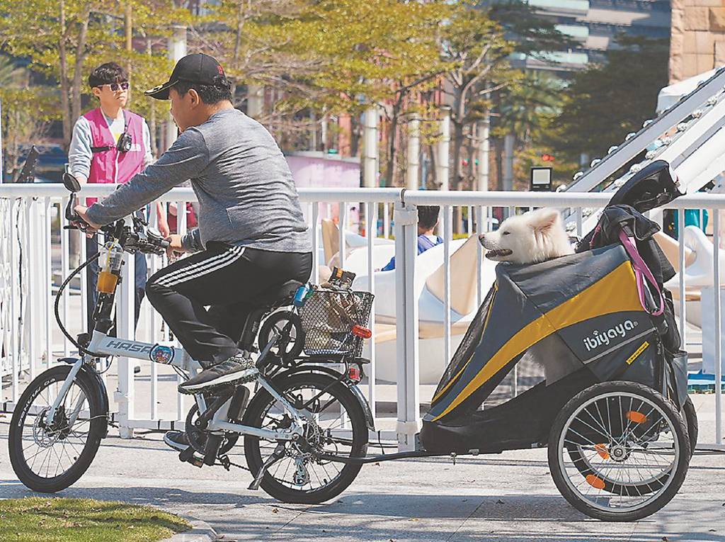 又一產險推寵物險 市面上共五家承保