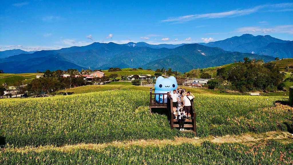 富里這Young玩！咖波帶你玩出金針花樣夏日