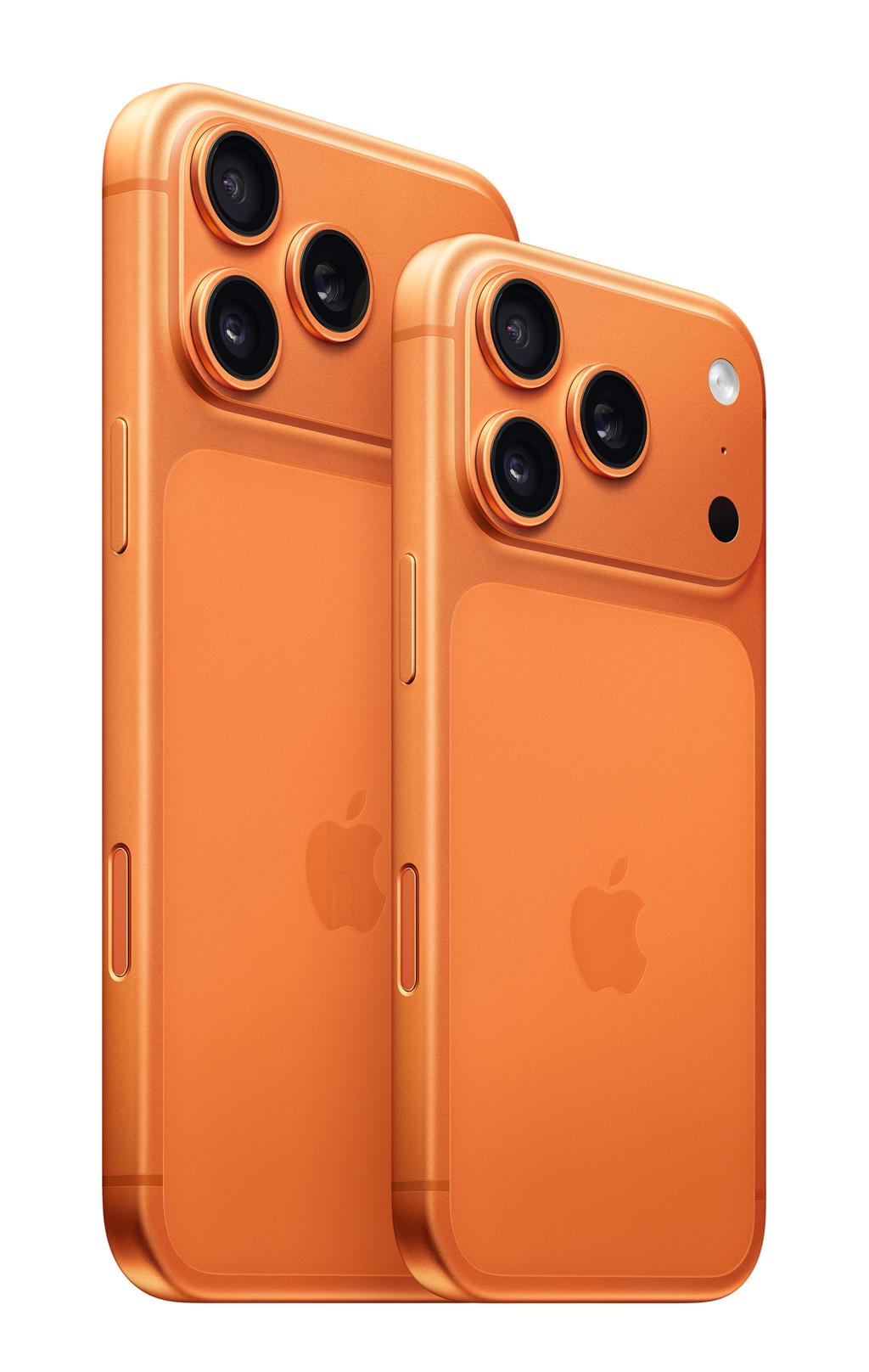台灣大：看好iPhone  17買氣超過去年 今11：30開放預購