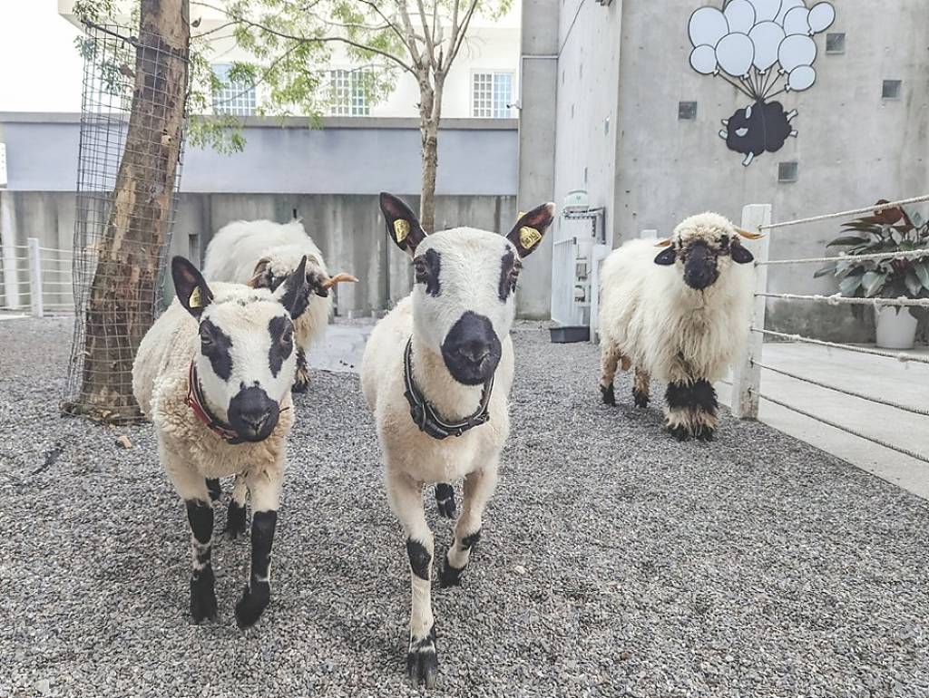 宜蘭綠舞飯店 台北旅展祭3.6折優惠