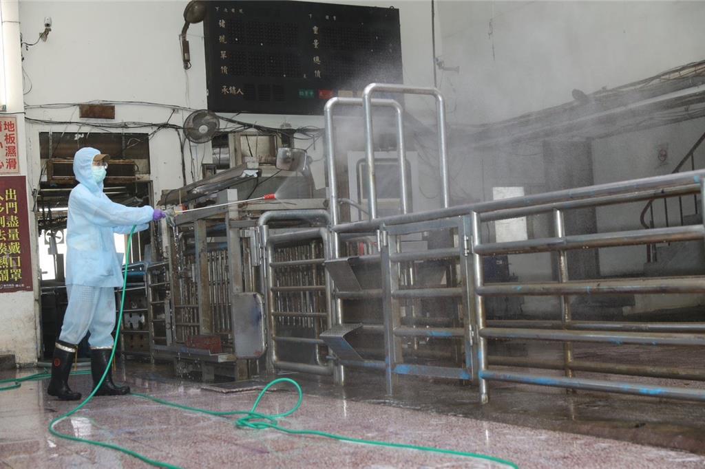 廚餘養豬喊停!竹縣每月將湧入823噸廚餘 即起管制收受對象