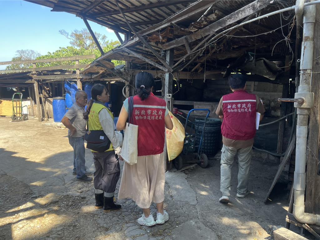 新北全面啟動非洲豬瘟防疫 確保養豬場及食品安全
