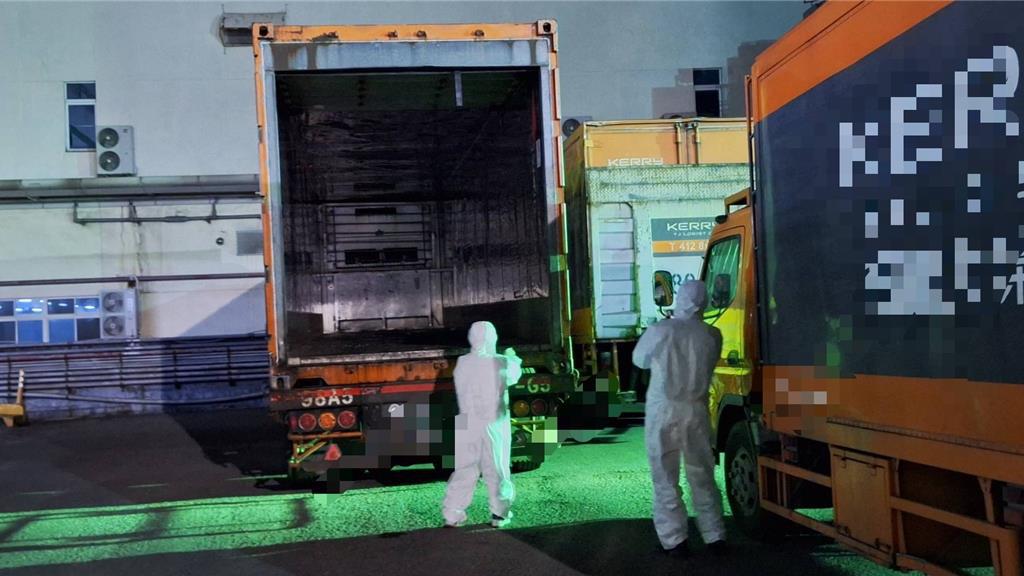 拖40小時才曝問題豬流向 嘉里大榮遭重罰300萬元