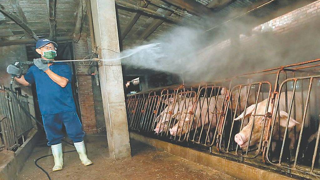 防疫不是封鎖 而是信任的流通