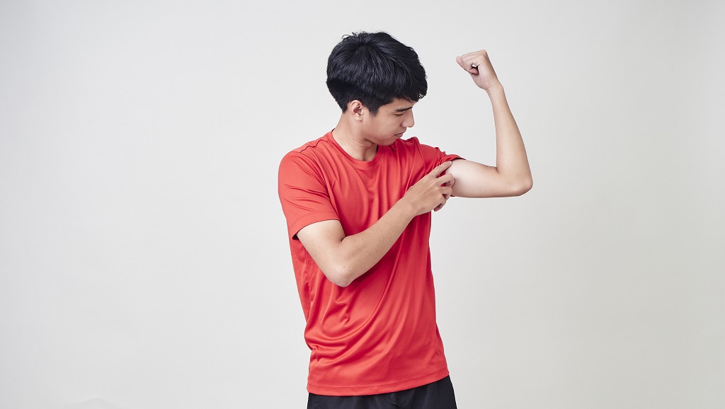 增肌秘訣不只重訓！醫籲：調整生活習慣，平衡荷爾蒙是關鍵