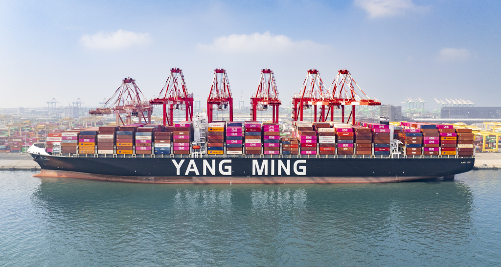 陽明10月營收年減近4成 近洋市場Q4持穩、美國線農曆年前出貨看增