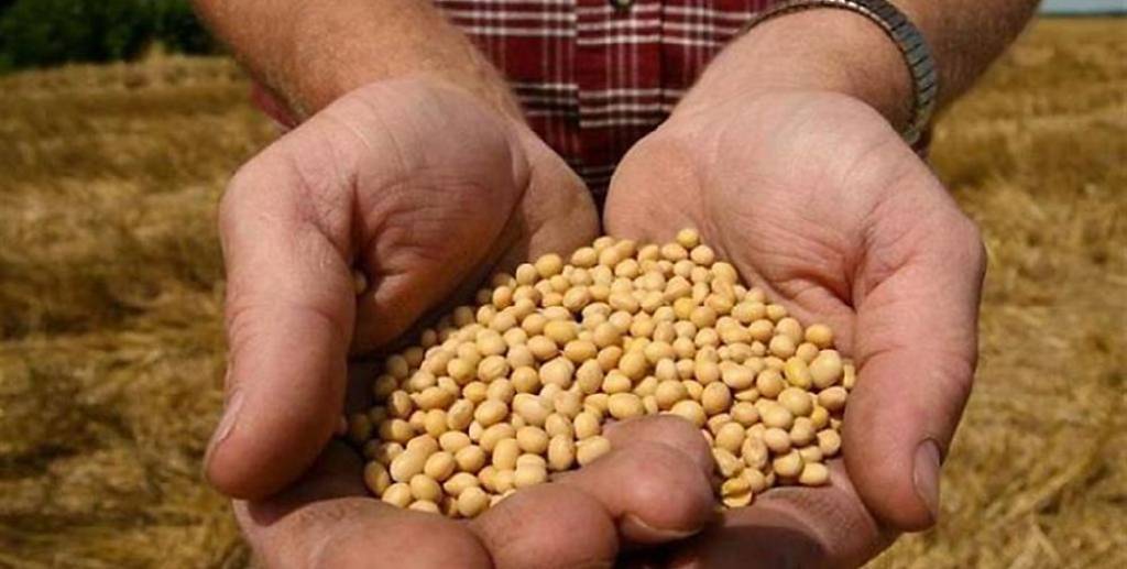 陸鬆綁稀土、鋰電池等部分出口管制 恢復美大豆輸中