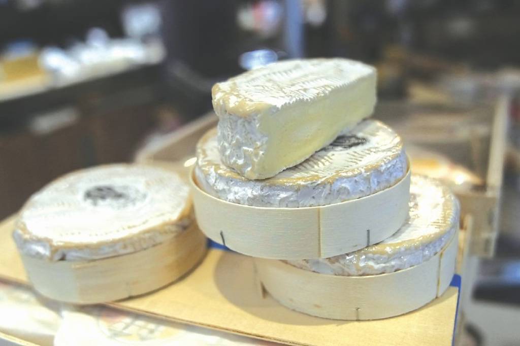 起司禁令風暴再起