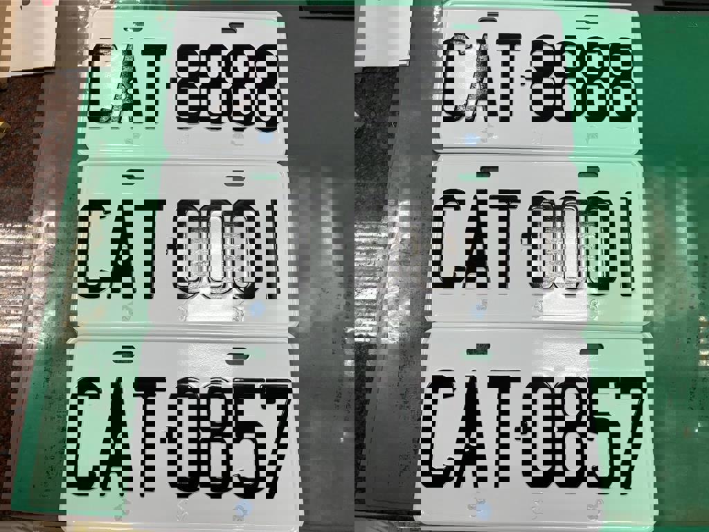 貓奴砸58萬標下CAT車牌愛狗人士崩潰「DOG為何禁用」 原因曝光- 生活- 工商時報