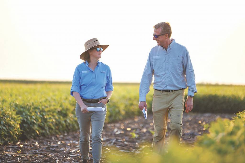 巴斯夫農業解方業務 拚法蘭克福證券交易所上市