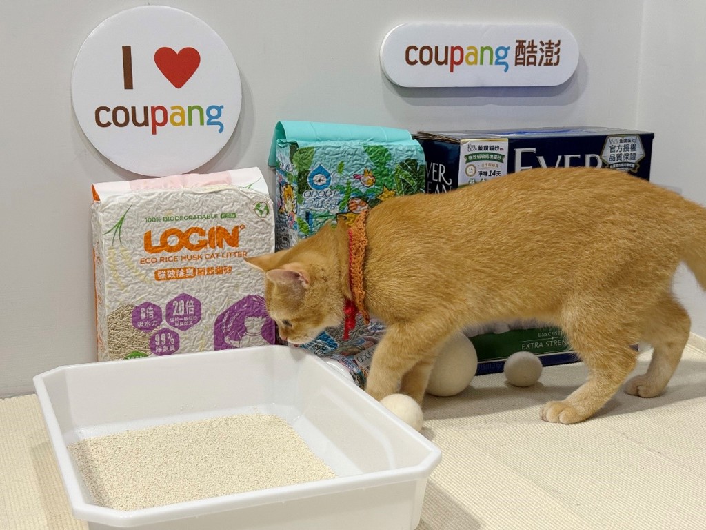 寵物市場穩健成長！酷澎推貓砂五折與品牌優惠吸引補貨潮