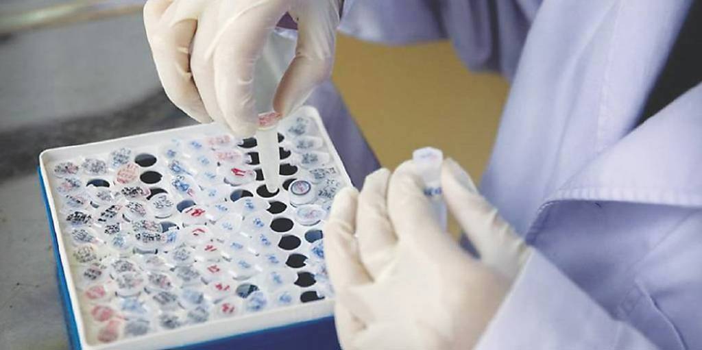 浩鼎小金雞鼎晉生技 11/24登興櫃