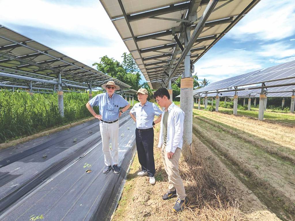 綠源科技領軍示範 實現農電共生