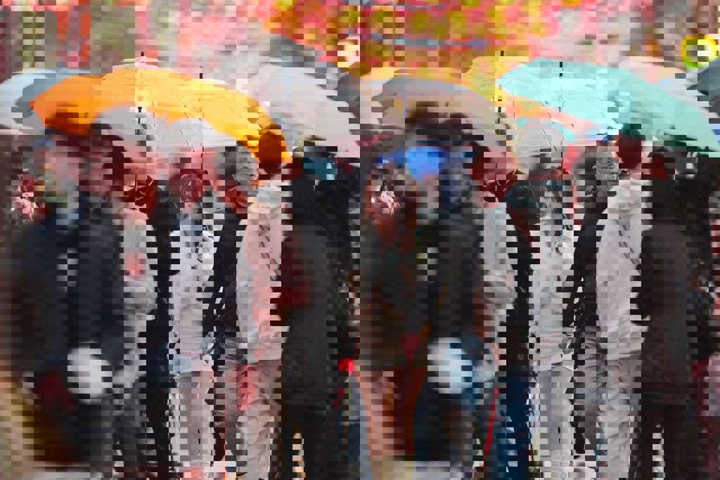 又濕又冷！東北季風報到日曝 北部一路冷到周五