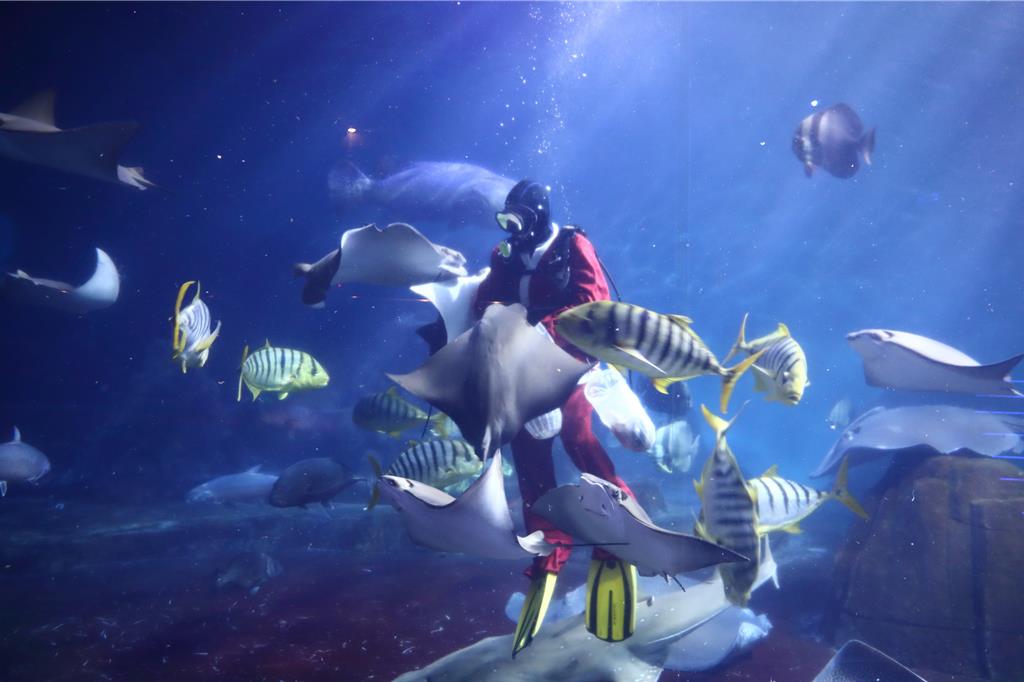 海洋公園23周年慶全年最強回饋一次到位 全民同樂價只要140元