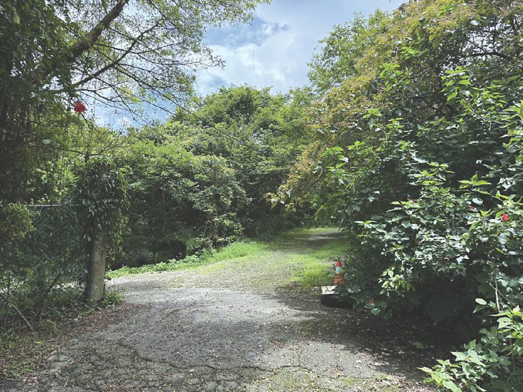 PwC普華國際不動產 標售新北汐止姜子寮土地