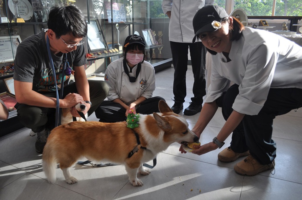 在料理檯與毛孩呢喃 醒吾打造寵物料理職人教室