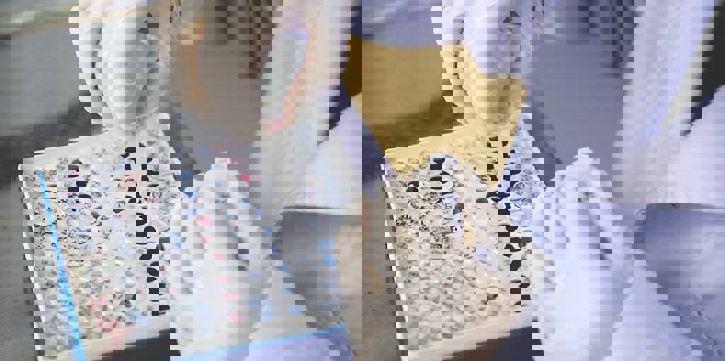 報捷！浩鼎TROP2新藥OBI-902 再獲美國孤兒藥資格