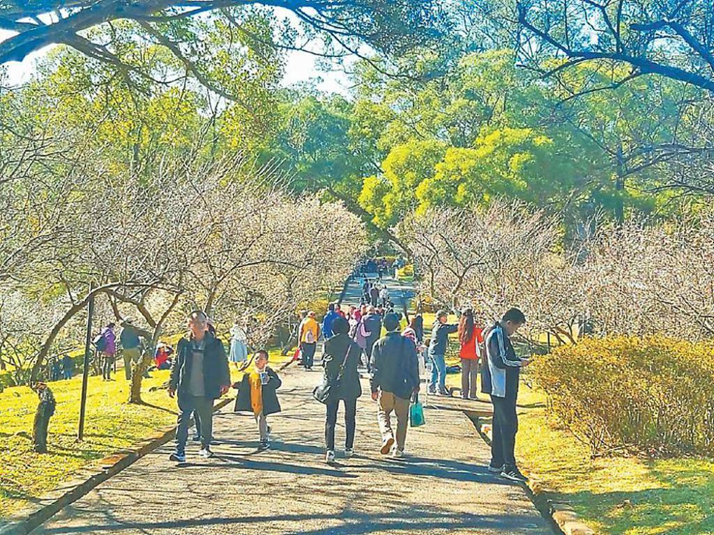國旅生日補助 明年1月上路
