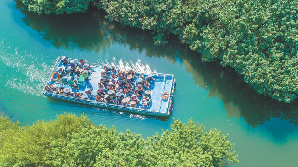 冬遊臺南 暖陽下體驗府城風情