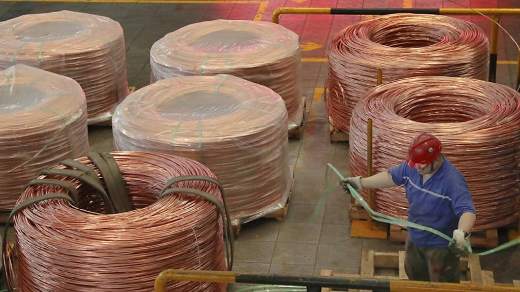 大亞 明年營運審慎樂觀