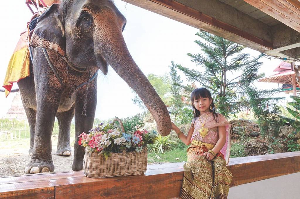 Z世代崇尚自由 旅行社推「跟團半自助」游日本韓國