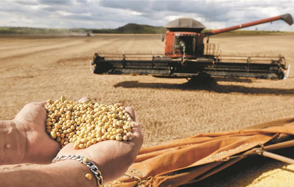 陸採購美大豆最新數據披露「800萬噸」 美豆農曝隱憂